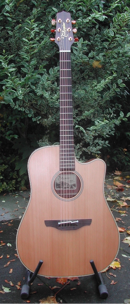 Takamine-EAN10