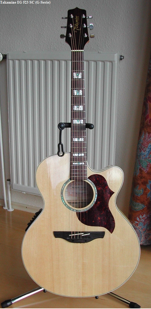 Takamine EG 523 SC (G-Serie)